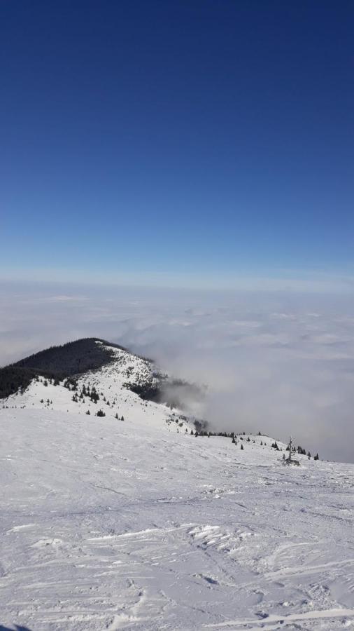 Ferienwohnung Kop Milmari P32 Kopaonik Exterior foto